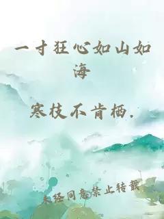 一寸狂心如山如海