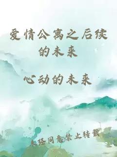 爱情公寓之后续的未来