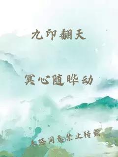 九印翻天