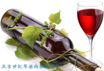 酿酒学及红酒文化